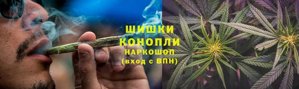стафф Ладушкин
