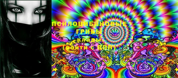 стафф Ладушкин