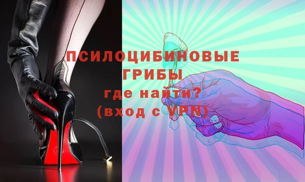 не бодяженный Кукмор