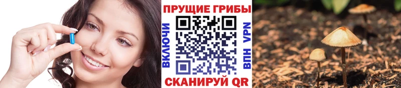 Галлюциногенные грибы мицелий  купить закладку  Чегем 
